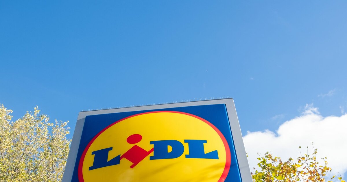 Solarleuchten für Garten und Balkon bei Lidl zum Schnäppchenpreis